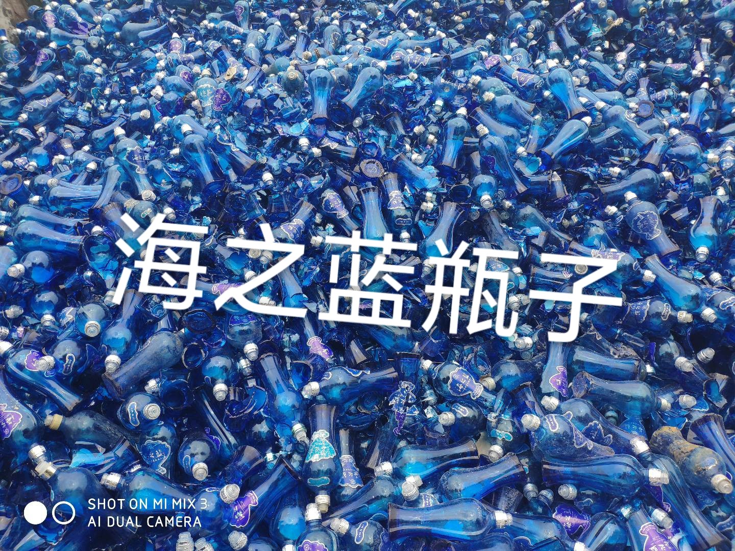 金坛区海之蓝瓶回收